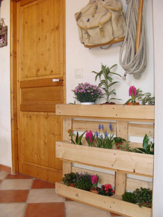 Stella Alpina Bed & Breakfast Rimplas Eksteriør bilde